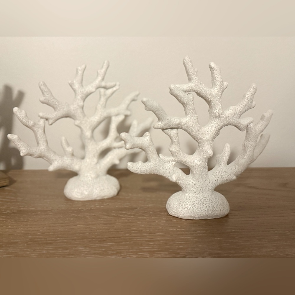 Coral Coastal Decoration
